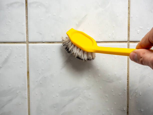 Best Mold Remediation  in Wylie, TX
