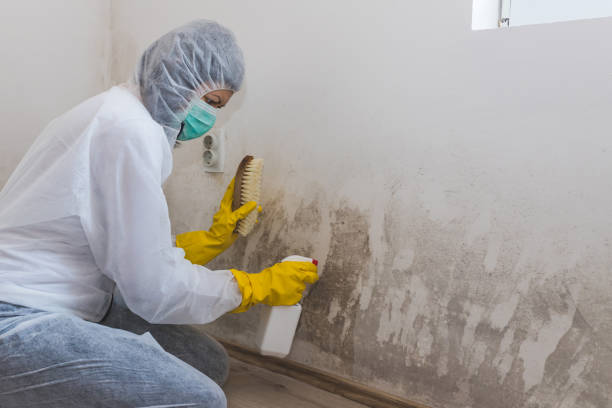 Best Crawl Space Mold Removal  in Wylie, TX