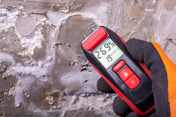 Best Water Damage Restoration  in Wylie, TX