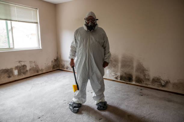 Best Professional Mold Removal  in Wylie, TX